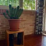 Chez Nous * Ladispoli